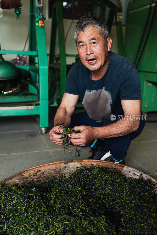 上了年纪的茶师在茶厂自豪地介绍他的茶