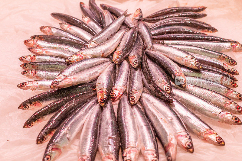 西班牙瓦伦西亚中央市场的鲱鱼