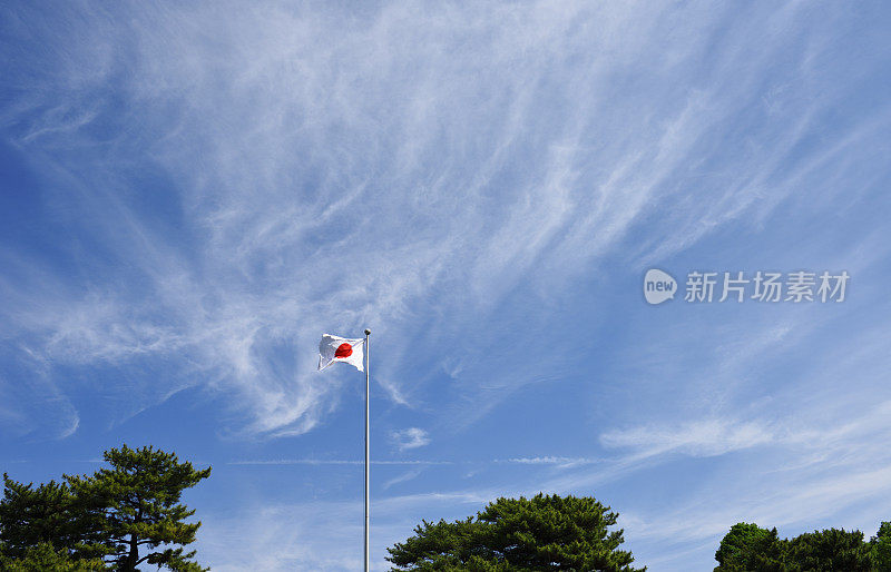 风中飘扬的日本国旗和蓝天下的松树