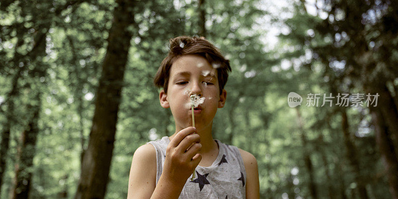 一个十几岁的男孩吹蒲公英球茎传播种子