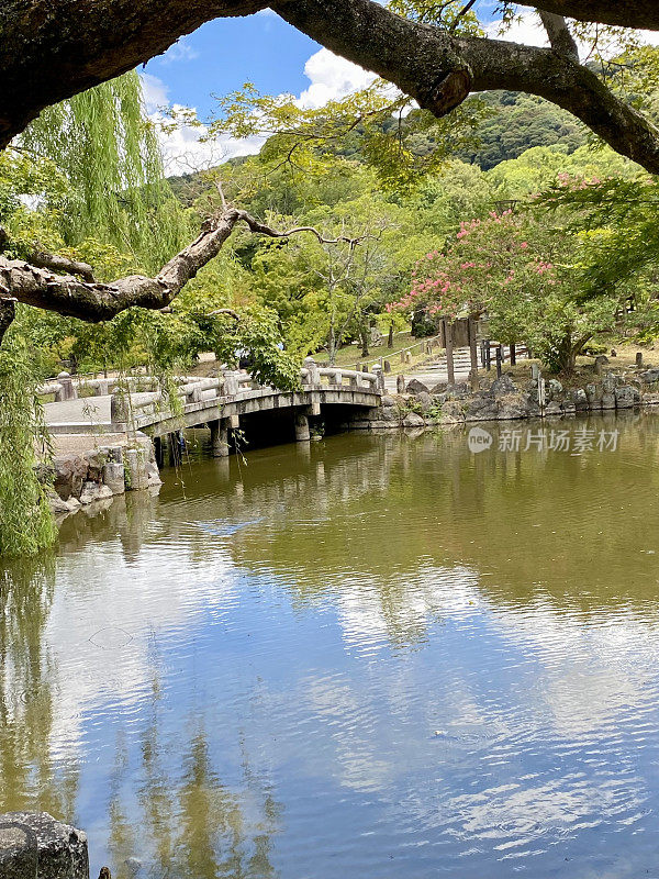 日本-京都-丸山公园