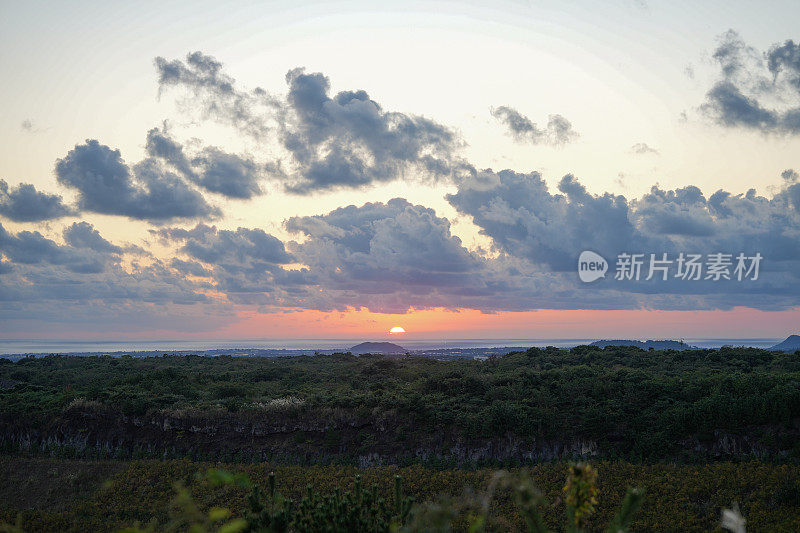 济州日落与芦苇