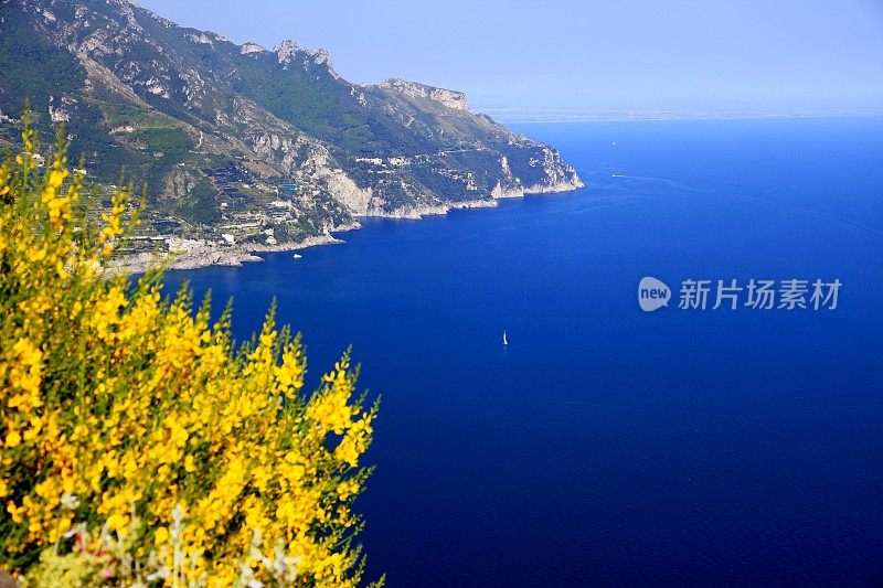 黄花和阿马尔菲海岸-地中海蓝海