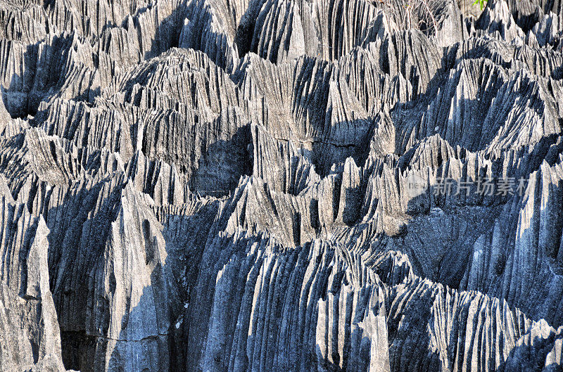 马达加斯加:喀斯特石灰岩地层