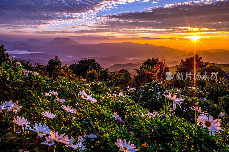 美丽的日出