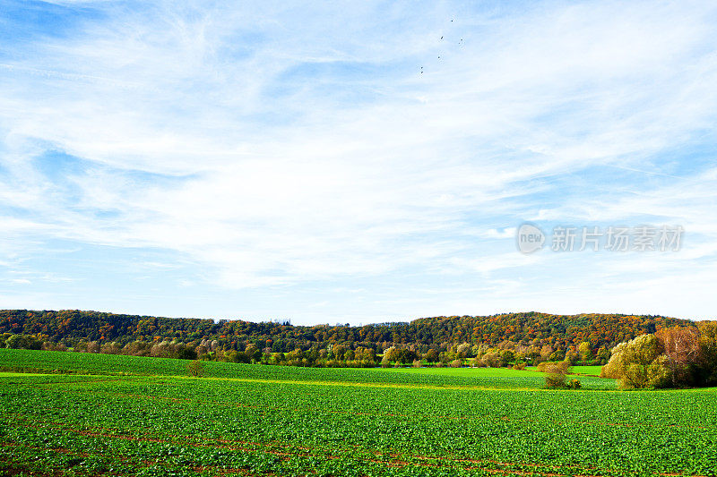 田野，树林和鲁尔河