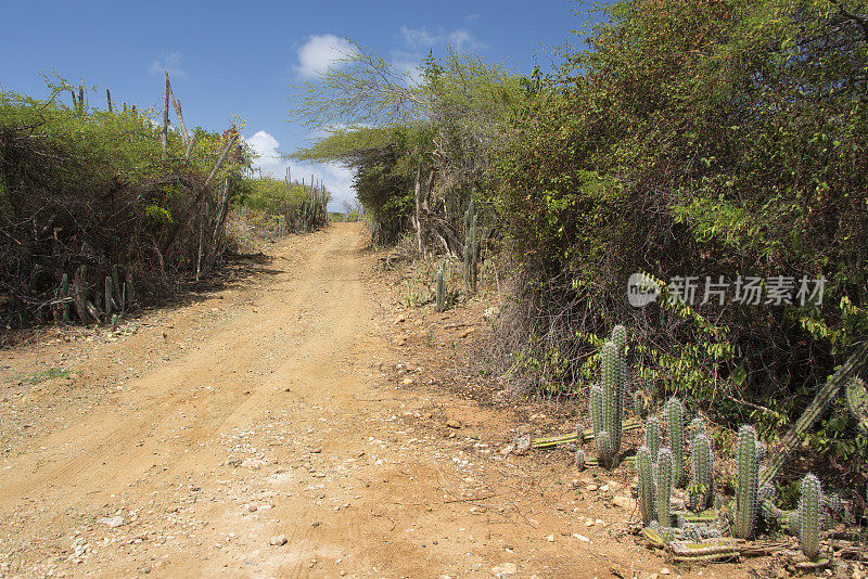 红土路