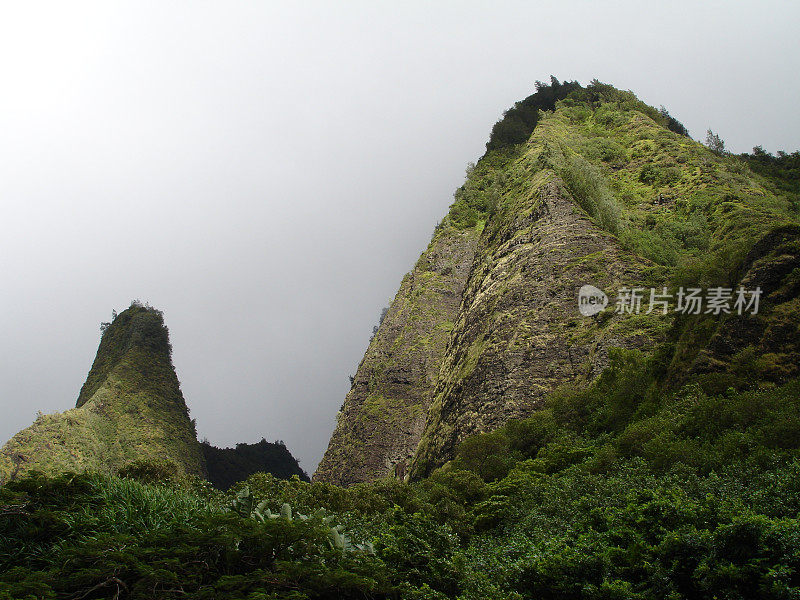 针和大朋友