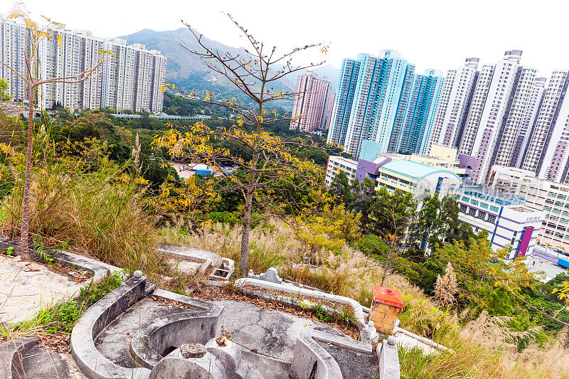 沙田，古坟，树木，摩天大楼，山，香港，中国