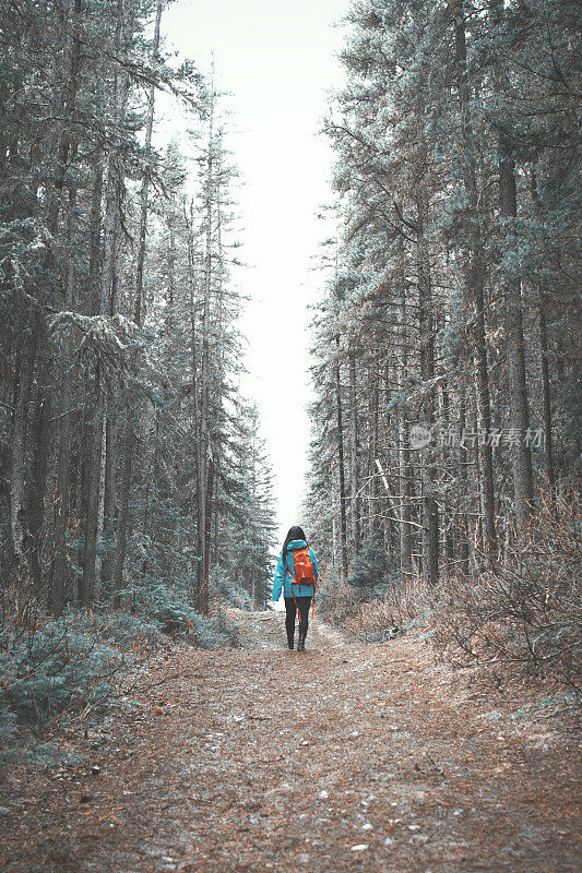 一个女孩独自走在森林里