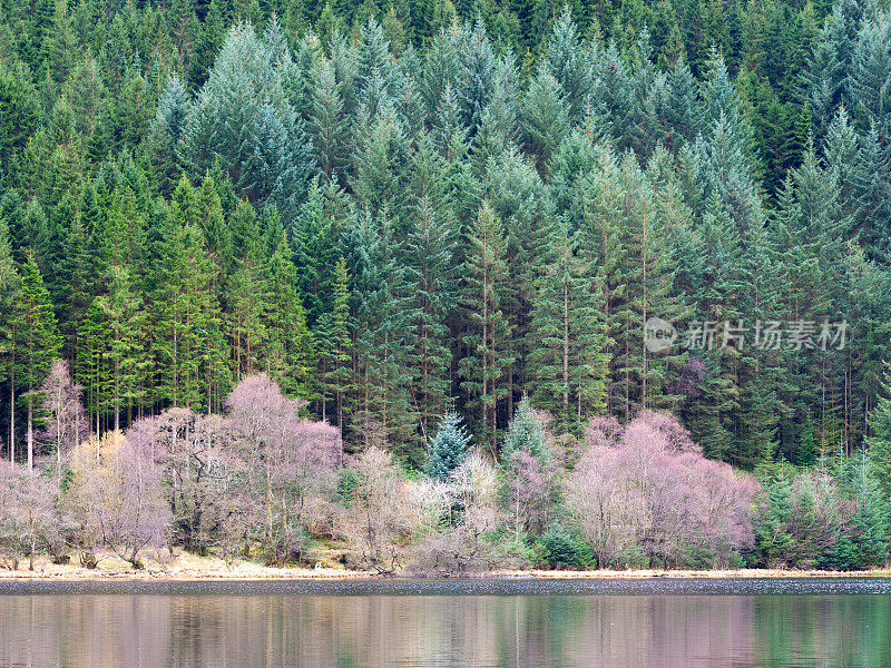 Chon湖，Trossachs，苏格兰。