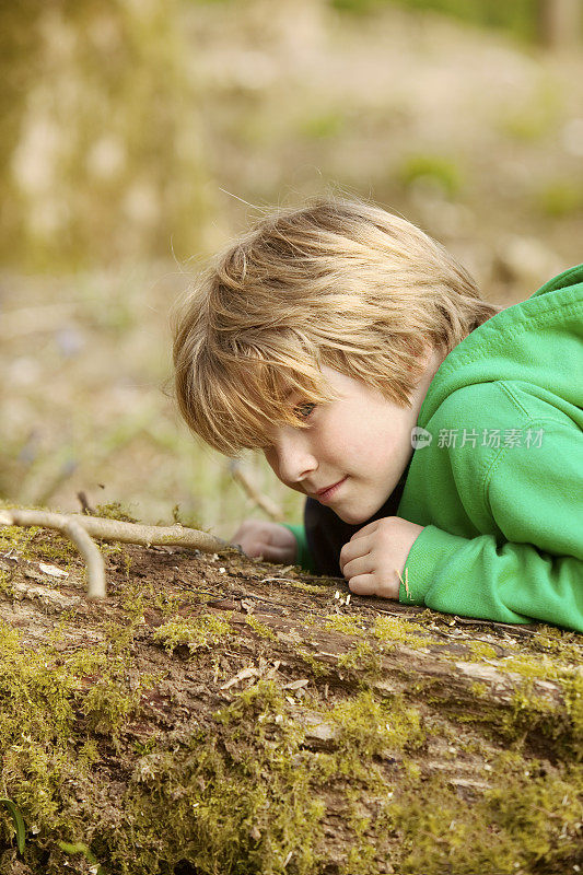 快乐的孩子在森林中探索大自然