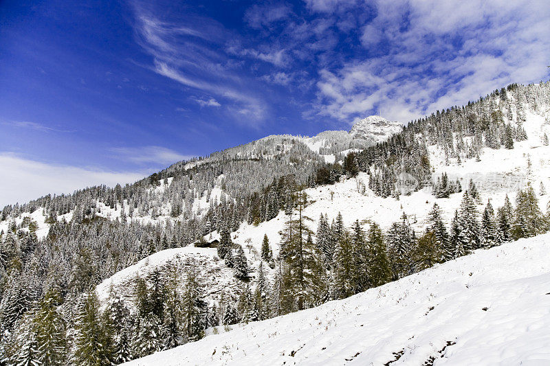 乡村冬季景观与雪在巴伐利亚