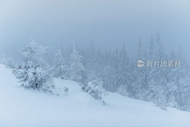 山上有浓雾。戏剧性的一幕。神奇的冬天雪