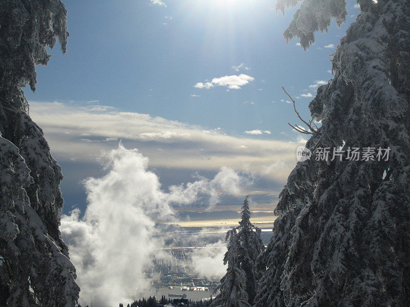 城市的观点