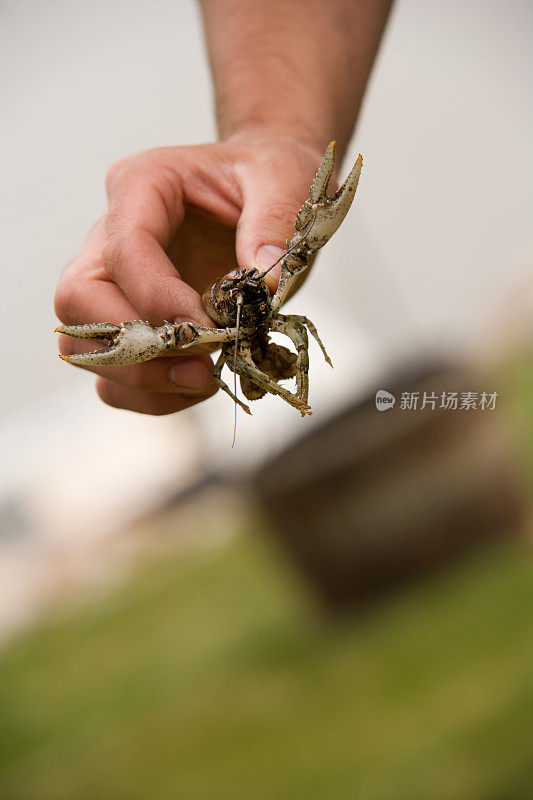 小龙虾