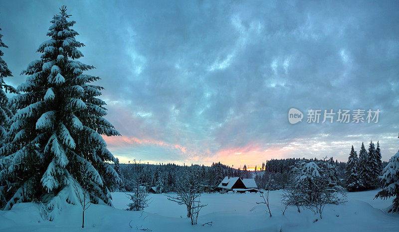 雪景冬天与日出，冷杉和房子