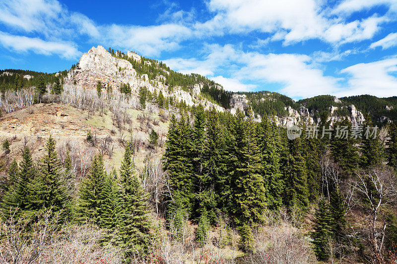 鱼叉峡谷，黑山国家森林，南达科他州