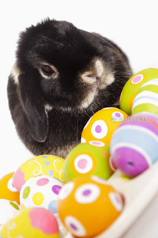 带彩蛋的复活节兔子
