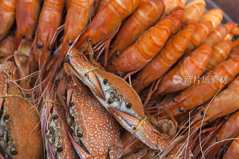 虾和螃蟹