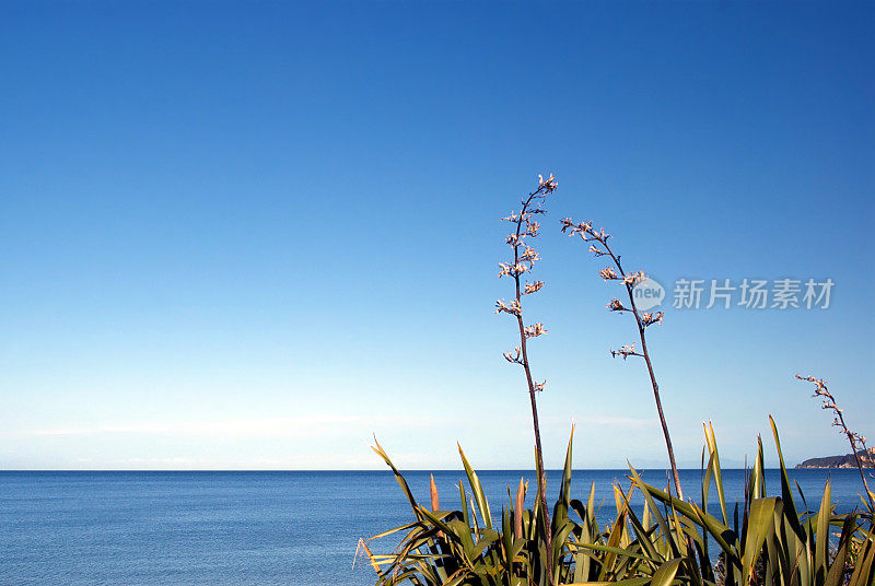 新西兰亚麻和海景