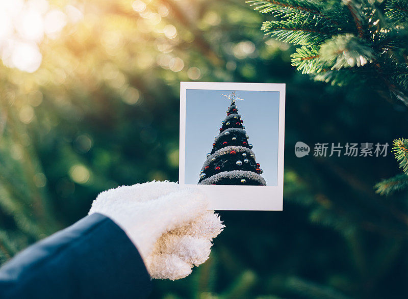 人的手展示了圣诞树的即时照片