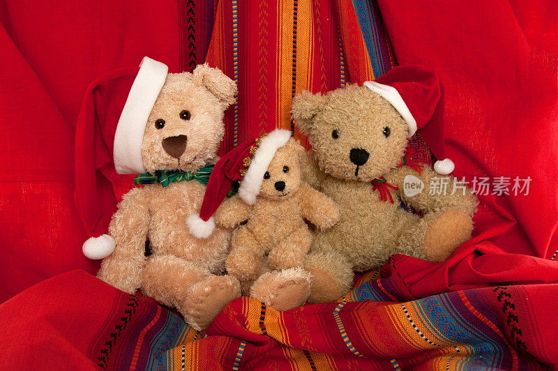 泰迪熊圣诞全家福