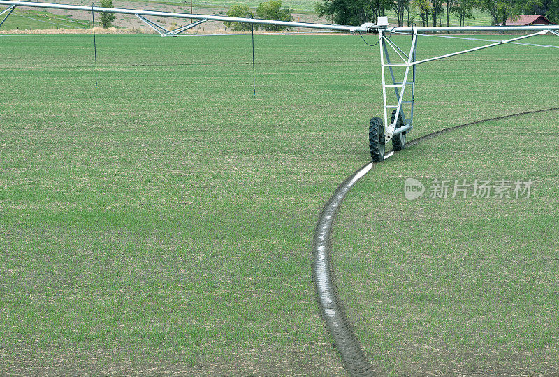 灌溉设备的轮胎呈弧形移动