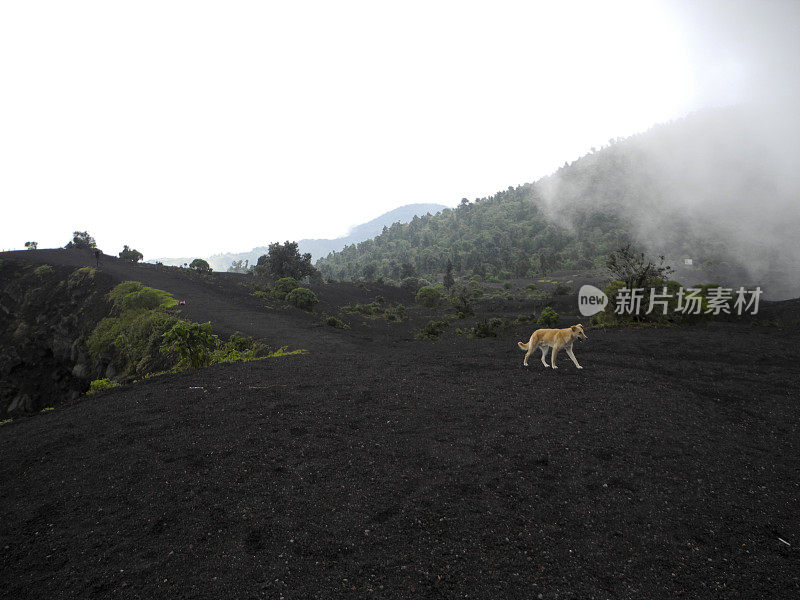 火山