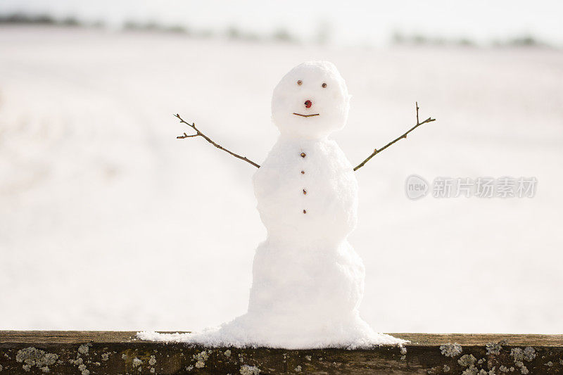 雪人