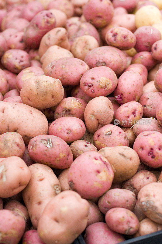 农贸市场土豆