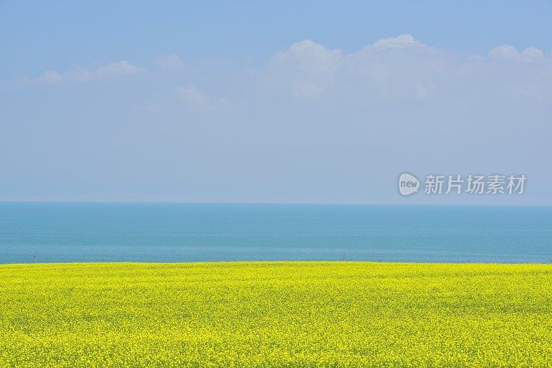 青海湖美丽的风景