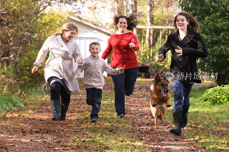 怀孕的妈妈，朋友，小男孩，狗狗在秋天里玩耍跑步