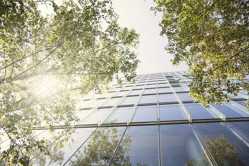 玻璃和钢铁办公建筑与树木在阳光下