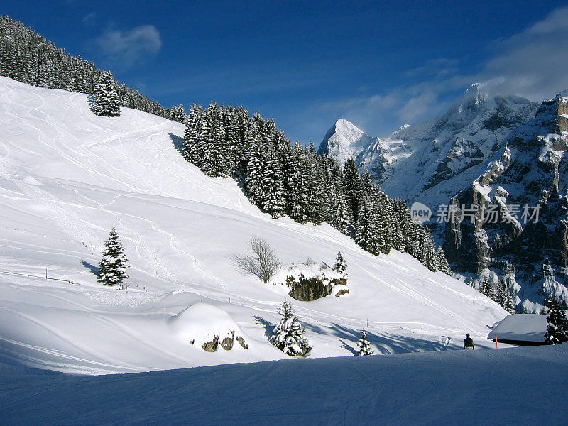 山滑雪小道