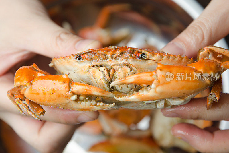吃海鲜红蟹