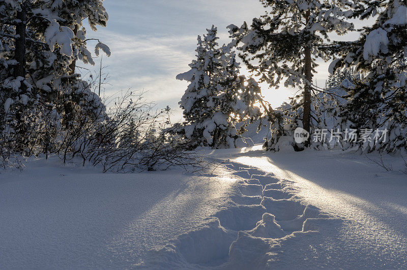 夕阳照亮的雪地上的小径