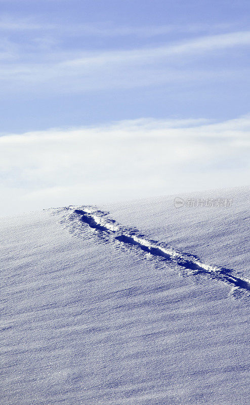 小径在雪