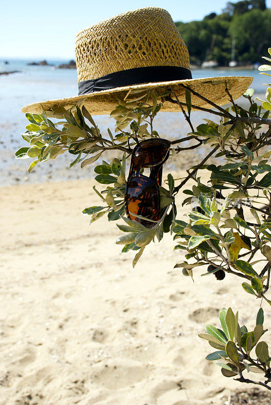 草帽和太阳镜，海景