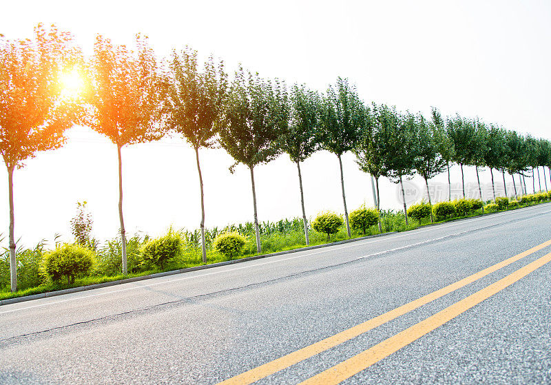 一条道路上的双黄线