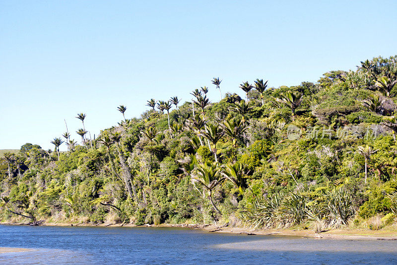 凯霍卡湖风景保护区，金湾，新西兰