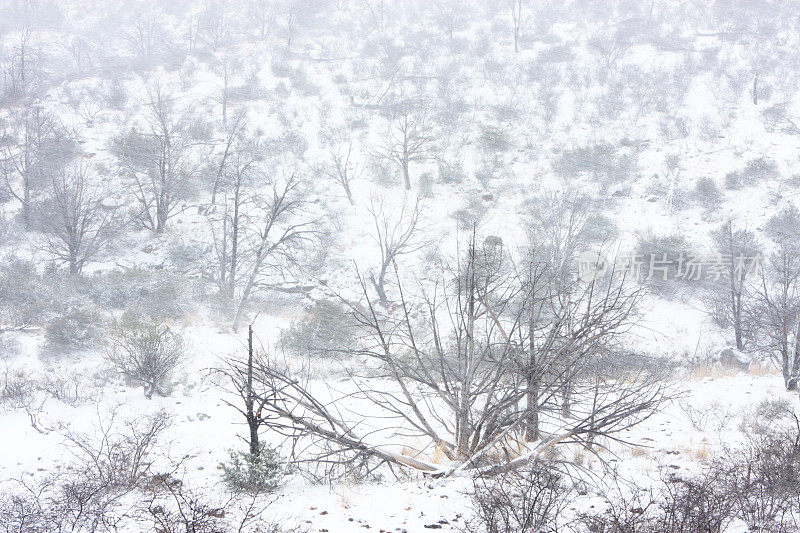 暴风雪暴风雪沙漠景观