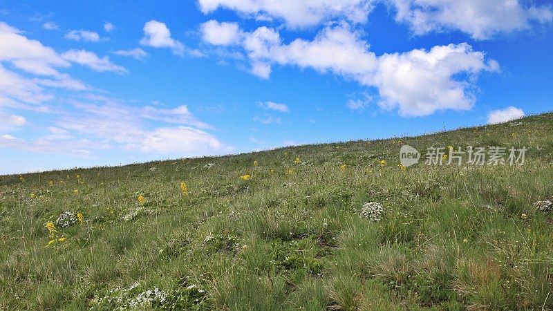 飓风岭山径，奥林匹克国家公园，西澳