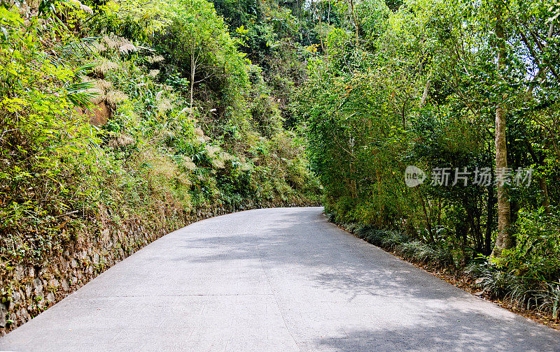 穿过森林的空路