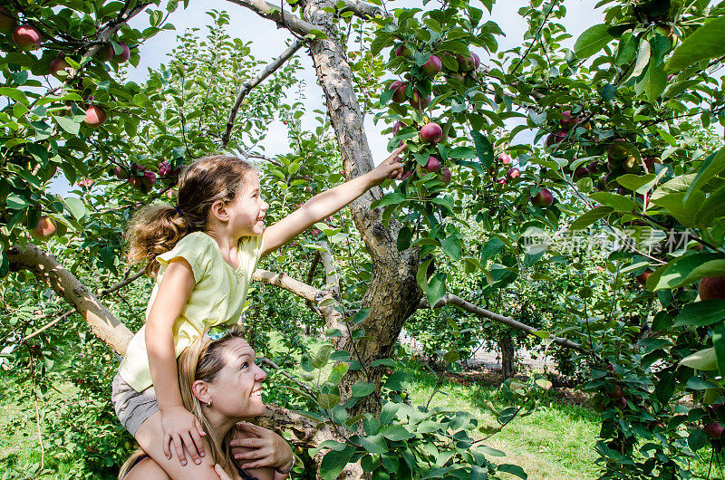 秋天的一天，年轻的女孩在妈妈的肩膀上摘苹果树