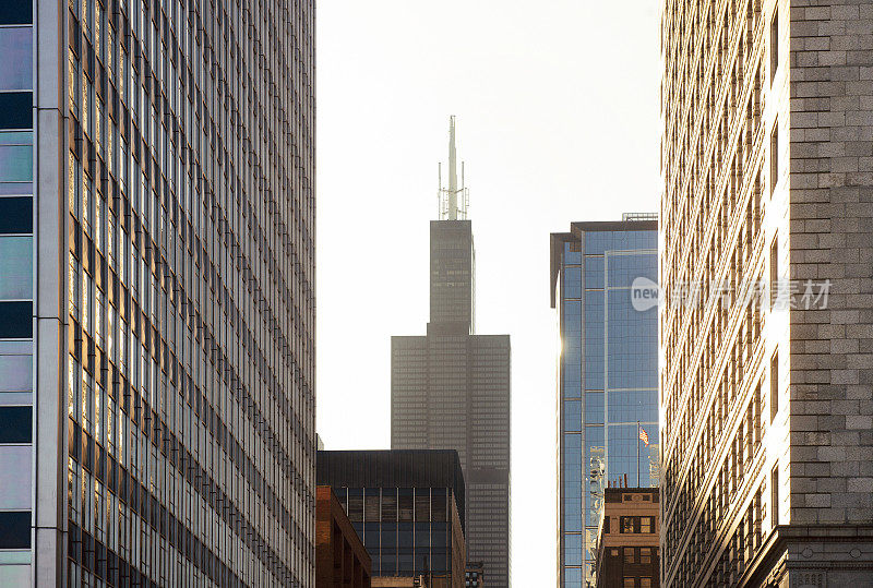 美国伊利诺斯州芝加哥市区地标威利斯大厦建筑事务所