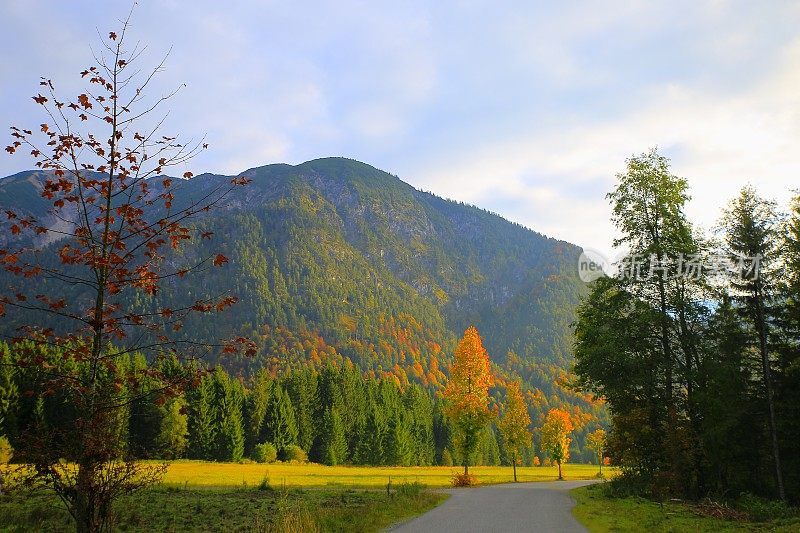 在奥地利Tirol，靠近Karwendel山脉和巴伐利亚阿尔卑斯在德国雄伟的高山景观在金色的秋天，戏剧性的Tirol山脉全景和田园式的Tirol草地，奥地利