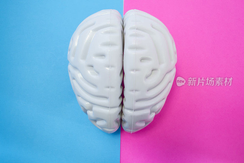 人类大脑的图形分开了一半蓝粉色的背景。男性和女性大脑的概念。男女在爱情、生命、科学、医学或解剖学方面的大脑结合或差异