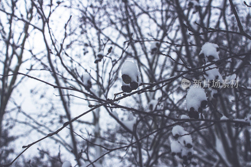 什罗浦郡雪场景