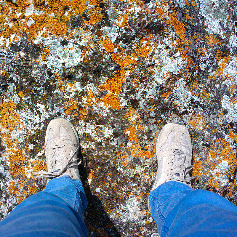 脚踩在长满苔藓的岩石上。